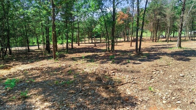 LOT1 Walker Mountain Rd, Heavener, OK 74937 - photo 10