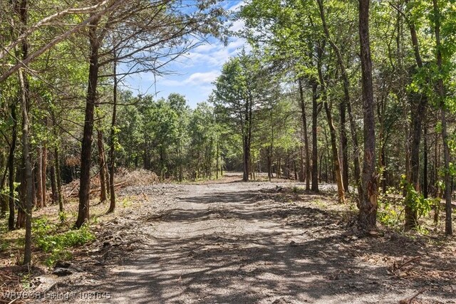 LOT1 Walker Mountain Rd, Heavener, OK 74937 - photo 25