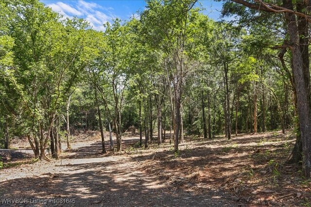 LOT1 Walker Mountain Rd, Heavener, OK 74937 - photo 27