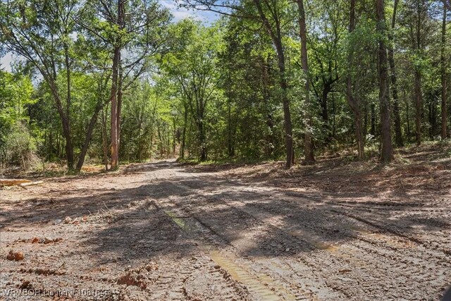 LOT1 Walker Mountain Rd, Heavener, OK 74937 - photo 28