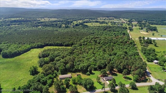 LOT1 Walker Mountain Rd, Heavener, OK 74937 - photo 36