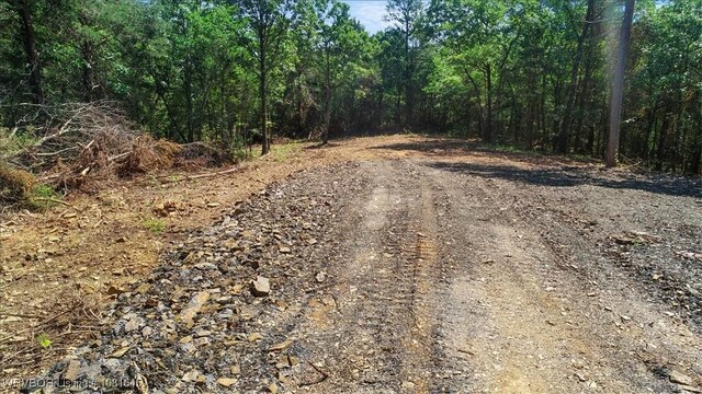 LOT1 Walker Mountain Rd, Heavener, OK 74937 - photo 12