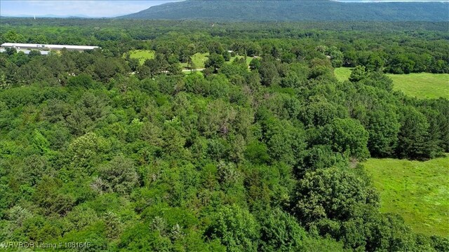 LOT1 Walker Mountain Rd, Heavener, OK 74937 - photo 18