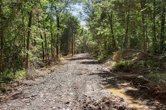 LOT1 Walker Mountain Rd, Heavener, OK 74937 - photo 31