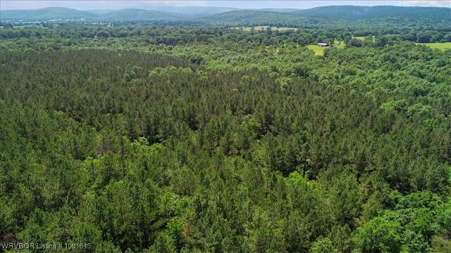 LOT1 Walker Mountain Rd, Heavener, OK 74937 - photo 16