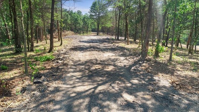 LOT1 Walker Mountain Rd, Heavener, OK 74937 - photo 6