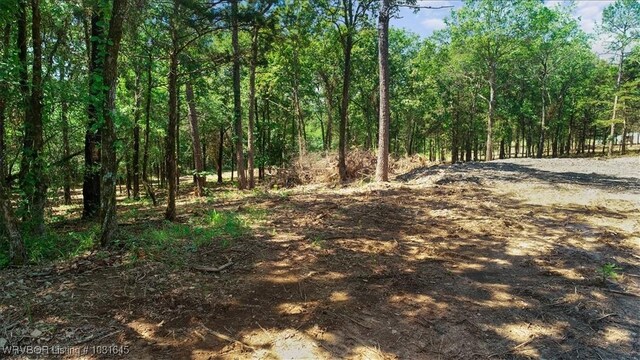 LOT1 Walker Mountain Rd, Heavener, OK 74937 - photo 14