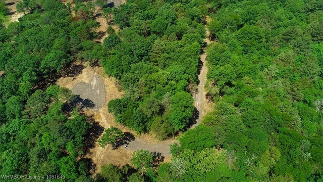 LOT1 Walker Mountain Rd, Heavener, OK 74937 - photo 20