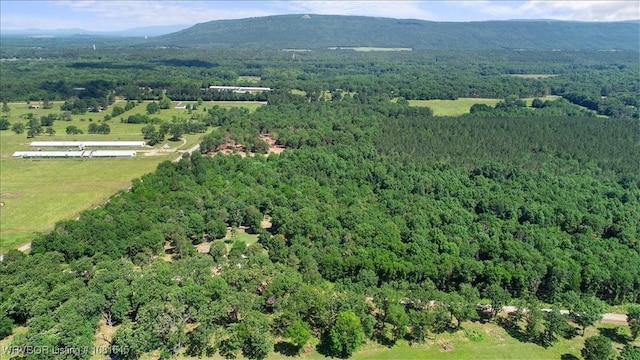 LOT1 Walker Mountain Rd, Heavener, OK 74937 - photo 2