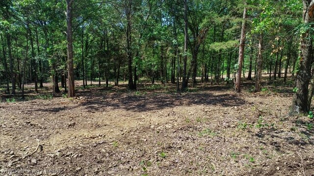 LOT1 Walker Mountain Rd, Heavener, OK 74937 - photo 13