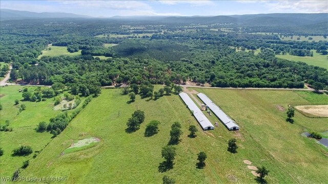 LOT1 Walker Mountain Rd, Heavener, OK 74937 - photo 35