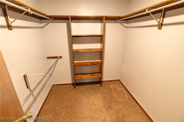 8617 S 15th St, Fort Smith, AR 72908 - walk in closet featuring carpet flooring