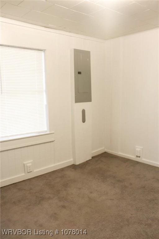 carpeted spare room with electric panel