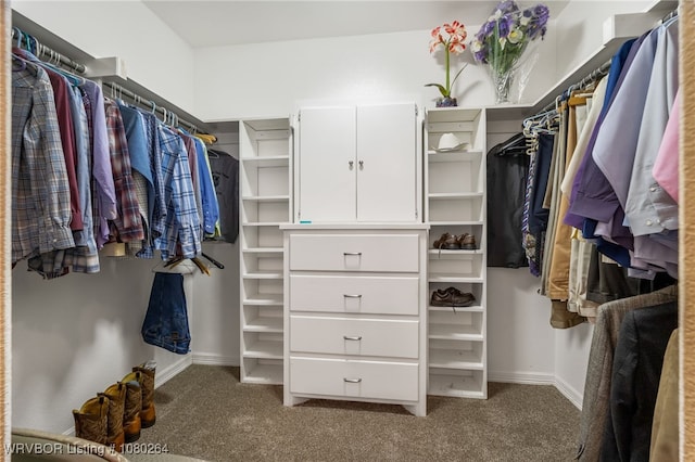 walk in closet with carpet flooring