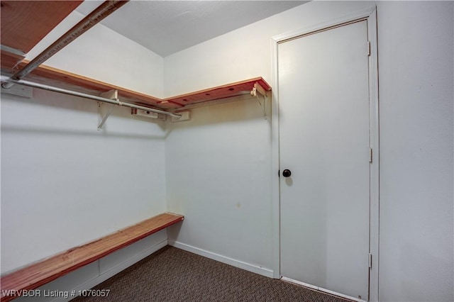 spacious closet with dark colored carpet