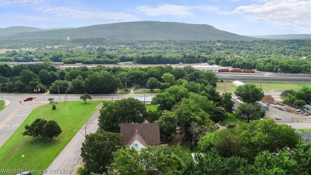 birds eye view of property with a mountain view