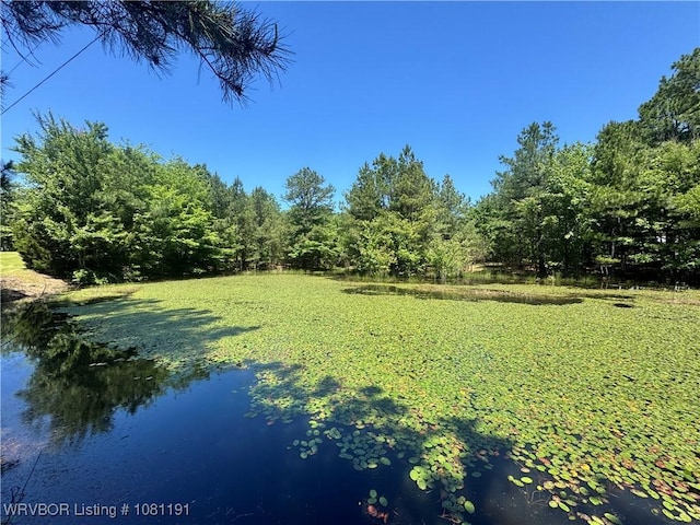 469497 975th Rd, Sallisaw, OK 74955 - view of green lawn