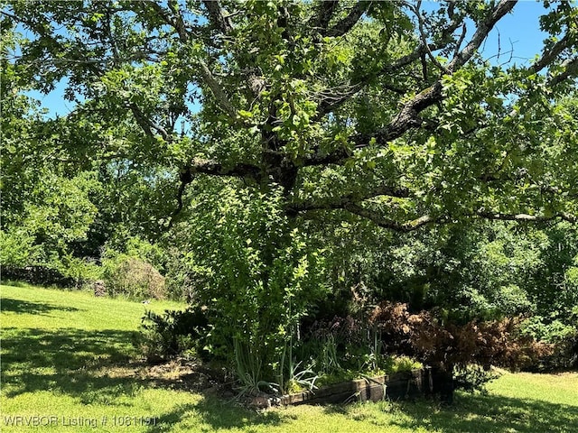 469497 975th Rd, Sallisaw, OK 74955 - view of tree filled area