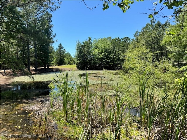 469497 975th Rd, Sallisaw, OK 74955 - view of yard with a water view