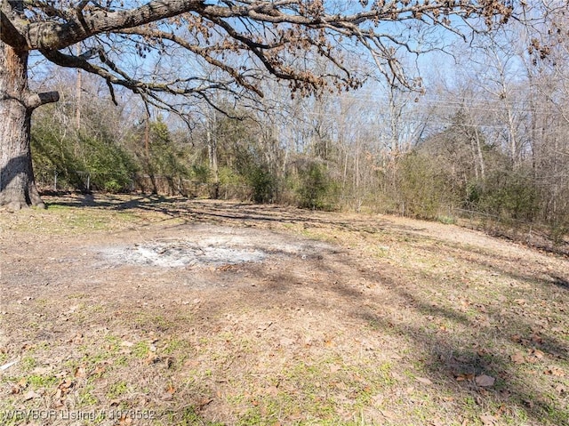 view of local wilderness