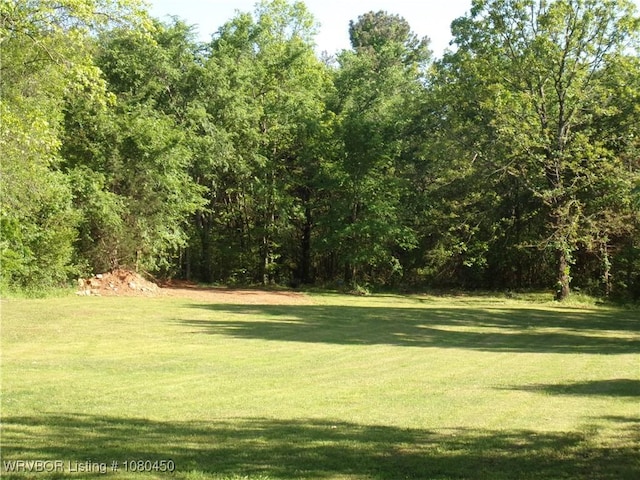 view of yard featuring a wooded view