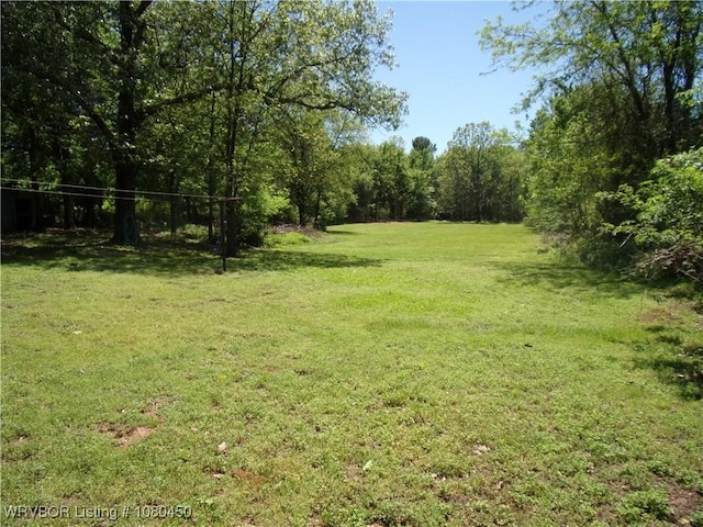 view of yard featuring a forest view