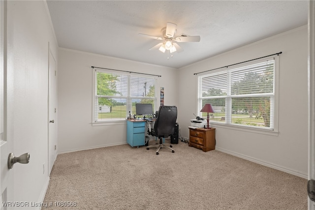 430 Sunnyside Rd, Van Buren, AR 72956 - photo 29