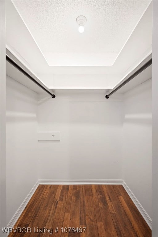 walk in closet with dark hardwood / wood-style floors