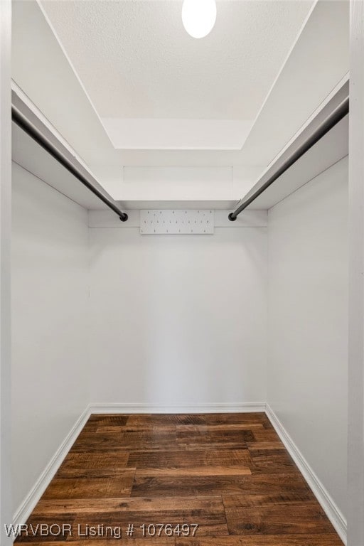 spacious closet with dark hardwood / wood-style floors