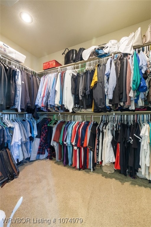 walk in closet featuring carpet