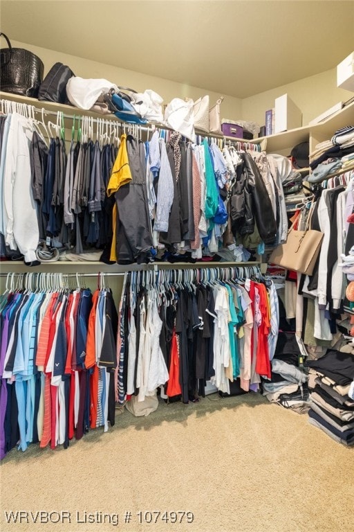 walk in closet featuring carpet floors