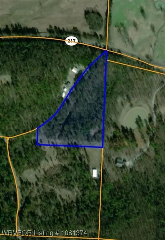 TBD N State Highway 217, Charleston, AR 72933 - photo 7