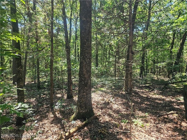 TBD N State Highway 217, Charleston, AR 72933 - photo 2