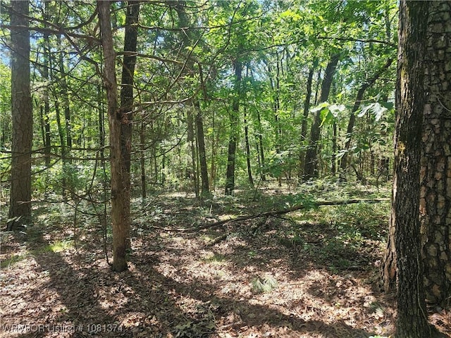 TBD N State Highway 217, Charleston, AR 72933 - photo 1