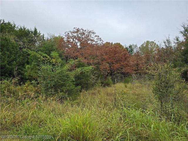 Listing photo 3 for TBD Kiowa, Mcalester OK 74501