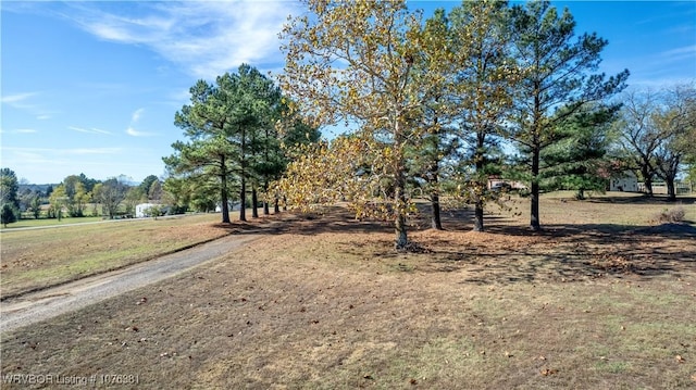view of yard with a rural view