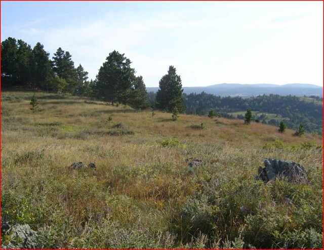 TRACT5A Lookout Vista Rd, Spearfish, SD 57783
