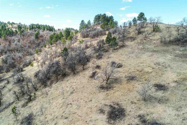 TRACT5A Lookout Vista Rd, Spearfish, SD 57783