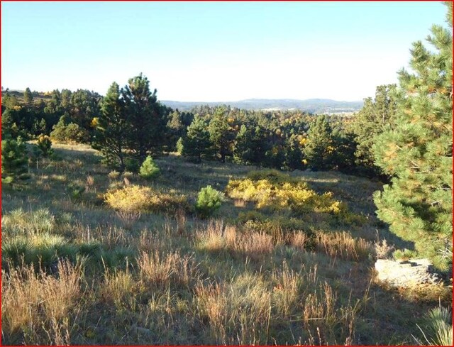 TRACT5A Lookout Vista Rd, Spearfish, SD 57783