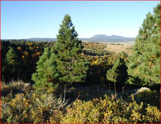 TRACT5A Lookout Vista Rd, Spearfish, SD 57783