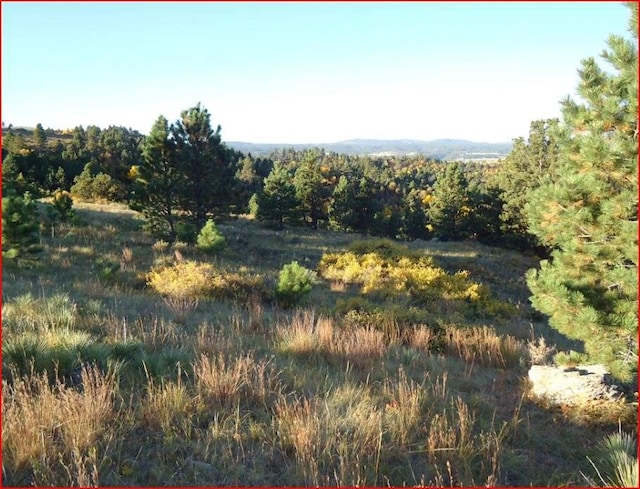 Listing photo 3 for TRACT7C Lookout Vista Rd, Spearfish SD 57783