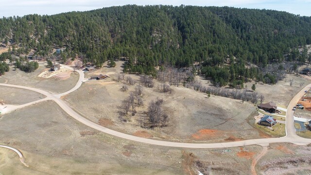 LOT14BBLOCK1 Stagecoach Trl, Sturgis, SD 57785