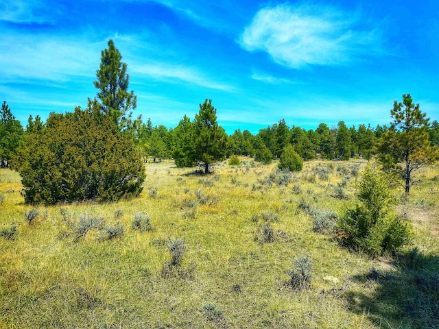 TBD Highway 16, Upton WY, 82730 land for sale