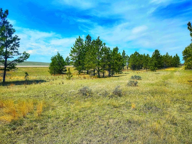 Listing photo 2 for TBD Highway 16, Upton WY 82730