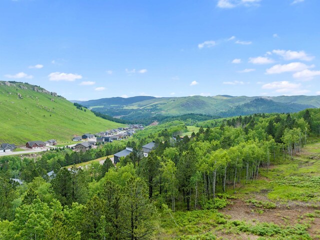 LOT3BLK3TBD Mystery Wagon Rd, Deadwood, SD 57732