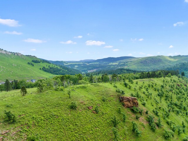 LOT3BLK3TBD Mystery Wagon Rd, Deadwood, SD 57732