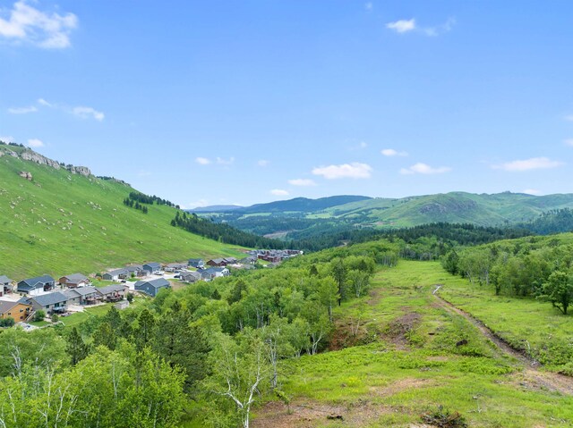 LOT3BLK3TBD Mystery Wagon Rd, Deadwood, SD 57732