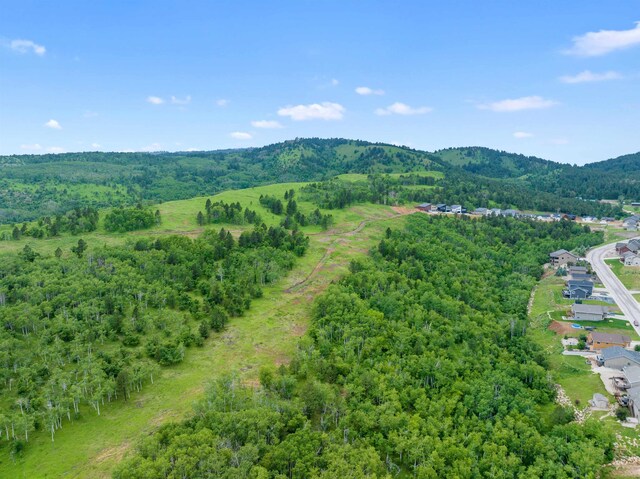 LOT3BLK3TBD Mystery Wagon Rd, Deadwood, SD 57732