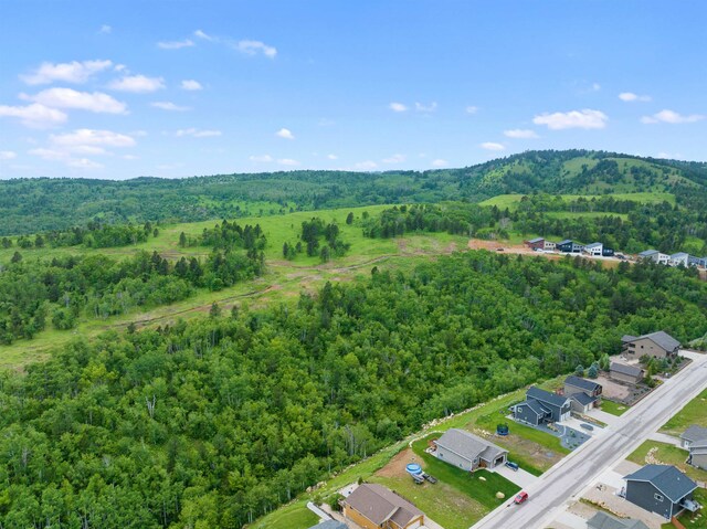 LOT3BLK3TBD Mystery Wagon Rd, Deadwood, SD 57732