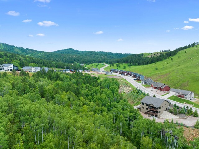 LOT3BLK3TBD Mystery Wagon Rd, Deadwood, SD 57732